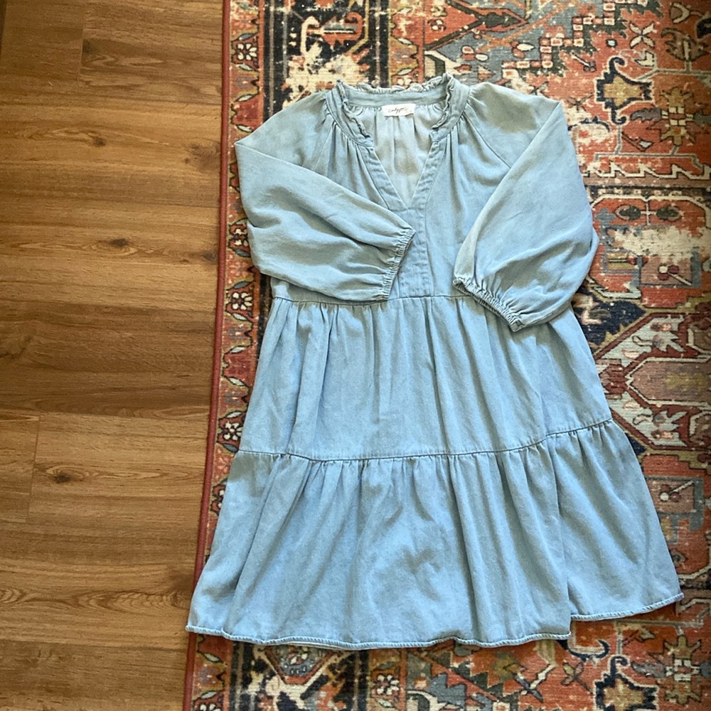 Carly Jean Lost Angeles Denim Dress